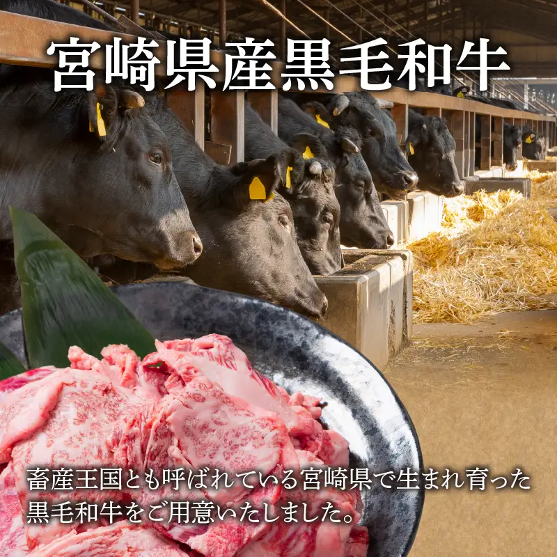 【2週間以内発送】宮崎県産黒毛和牛切り落とし(焼肉用)計1kg 肉 牛 牛肉 国産_T023-0175