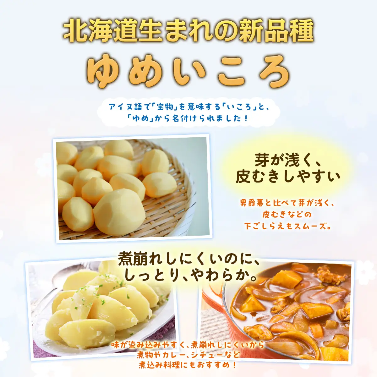 【先行予約】じゃがいも（ゆめいころ） Lサイズ 10kg 大空町産（2026年10月以降順次発送）OSR011