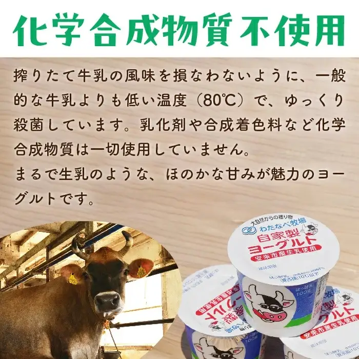 【定期便6回】わたなべ牧場のヨーグルトセット ／ 24個 ×6ヵ月 ヨーグルト 加糖 牧場 生乳 こだわり 甘み 搾りたて 安心 自然派 化学合成物質不使用 定期便 島根県 安来市