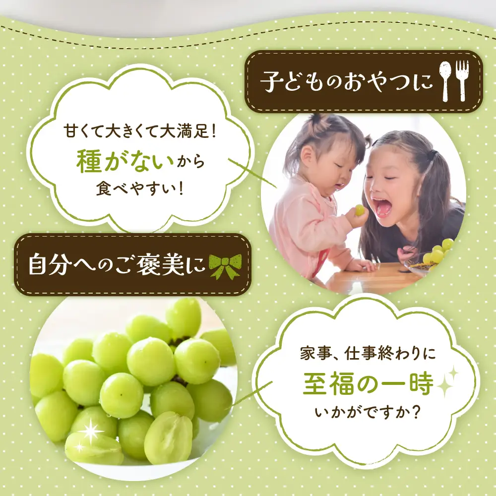 2026年産 ぶどう シャインマスカット 2房(約1.3kg) ぶどう