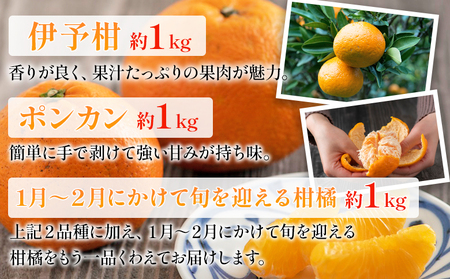 ＜無茶々園の柑橘セット 約3kg＞ 【先行予約】フルーツ 果物 くだもの 伊予柑 いよかん イヨカン ポンカン ぽんかん みかん 蜜柑 ミカン 詰め合わせ 詰合せ お楽しみ 食べ比べ お試し おためし 特産品 愛媛県 西予市【常温】『2027年1月中旬～2月中旬に順次出荷予定』AMC0040