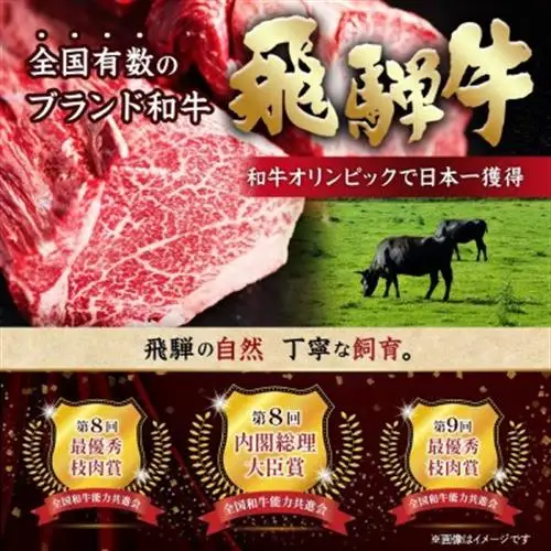 飛騨牛 厳選赤身(焼肉・BBQ用) 1.5kg(500g×3)_肉 焼肉 牛肉 やきにく ヤキニク バーベキュー  肉 飛騨牛 牛肉 うし ビーフ_【配送不可地域：離島】【1543759】