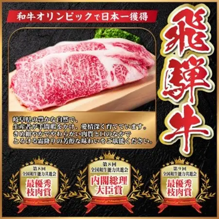 飛騨牛　特上ロース(焼肉・BBQ用)500g　A5等級　黒毛和牛_肉 焼肉 牛肉 やきにく ヤキニク バーベキュー  肉 飛騨牛 牛肉 うし ビーフ_【配送不可地域：離島】【1543790】