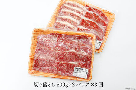 日本ハム 牛肉 3回 定期便 宮崎県 和牛 切り落とし 500g ×2p 計 1kg