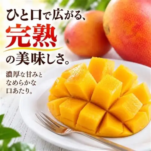 【2027年6月下旬から順次発送・訳あり】完熟アップルマンゴー約1.5kg(3玉～6玉)【配送不可地域：離島】【1546407】