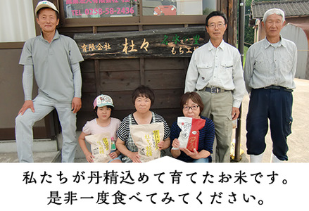 43-08杜々の妖精コシヒカリ5kg（全国名水百選栃尾産）
