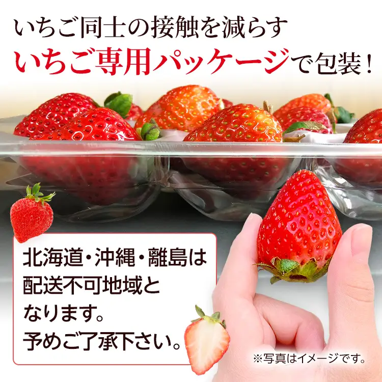 【先行受付】農家直送 朝採り新鮮いちご【博多あまおう】＜1月下旬より順次発送＞ 約270g×4パック 福岡県産 苺 イチゴ 朝採れ 冷蔵 スイーツ ジュース ギフト プレゼント お土産 九州 福岡土産 ※北海道・沖縄・離島は配送不可