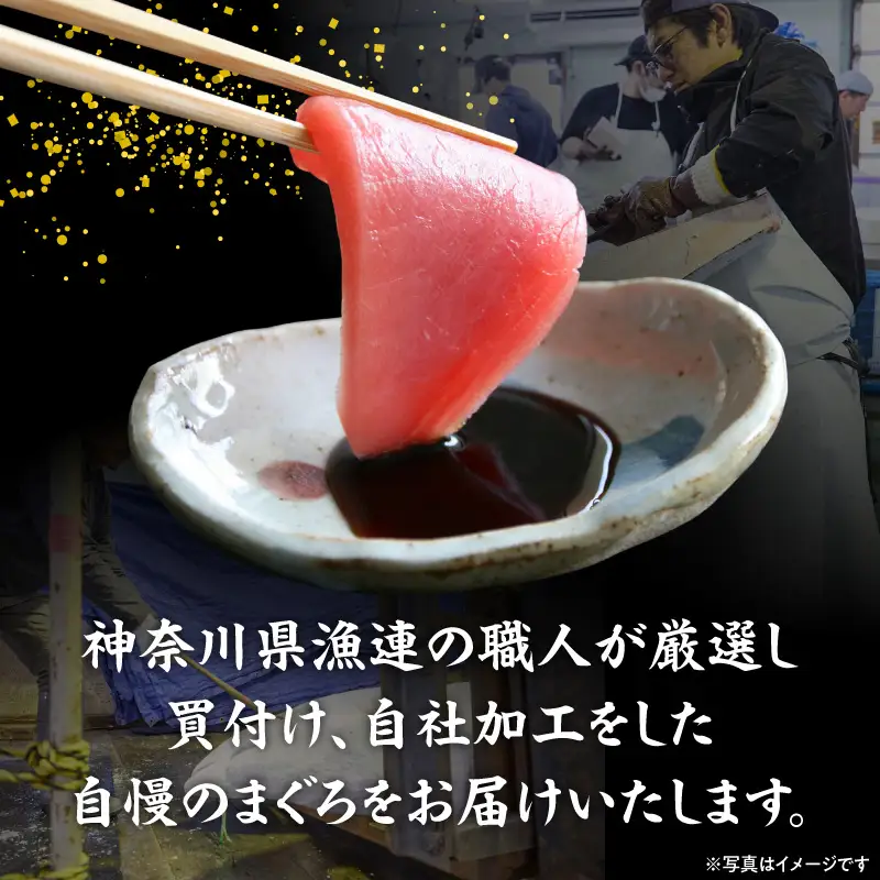 ＜選べる配送月＞神奈川県漁連 天然本マグロ 中トロ ・ 赤身 セット　M077-012-03 冷凍 マグロ