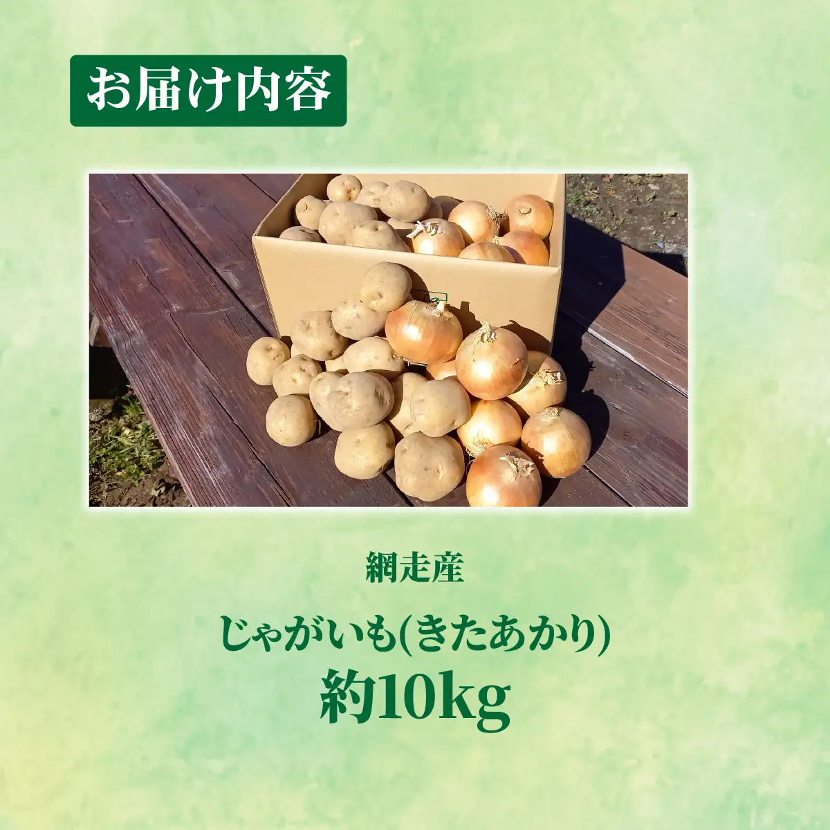 じゃがいも（きたあかり）10kg（網走産） ABP002 | じゃがいも じゃがいも じゃがいも じゃがいも じゃがいも じゃがいも じゃがいも じゃがいも じゃがいも じゃがいも じゃがいも じゃがいも 