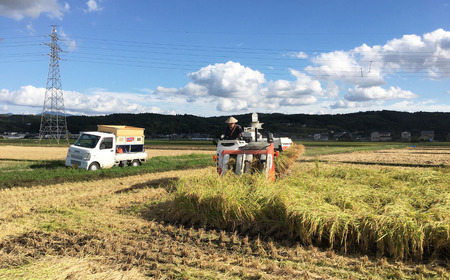 [定期便5kg×3か月] 減農薬有機肥料栽培 新潟県産 ミルキークイーン 7分づき 5kg×3か月 計15kg 令和8年産米 [小さな農家ささげ米]【035S029】