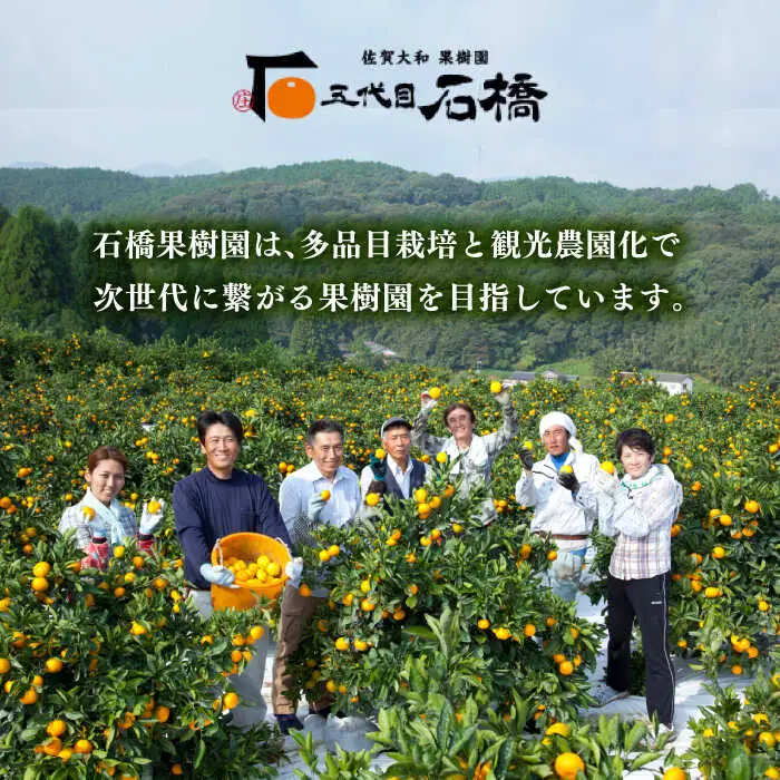 【2026年10月中旬以降発送】五代目みかん約4.5kg（40-50個） / 佐賀県 / 石橋果樹園 [41AAAJ003]