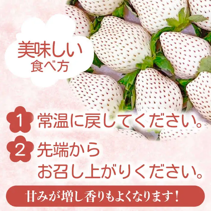 【2027年1月以降順次発送】白い宝石（自宅用）約520g（約130g×4パック） / 佐賀県 / 手島農園 [41ABAB003]