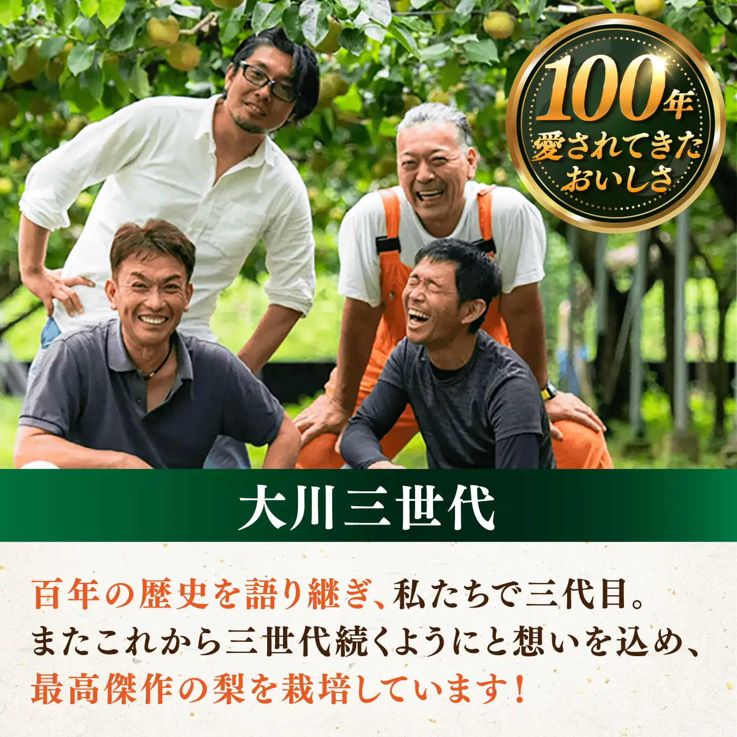 【化粧箱入り】幸太郎（幸水）3個入（約1.2kg） / 佐賀県 / 大川三世代 [41AEAB003]