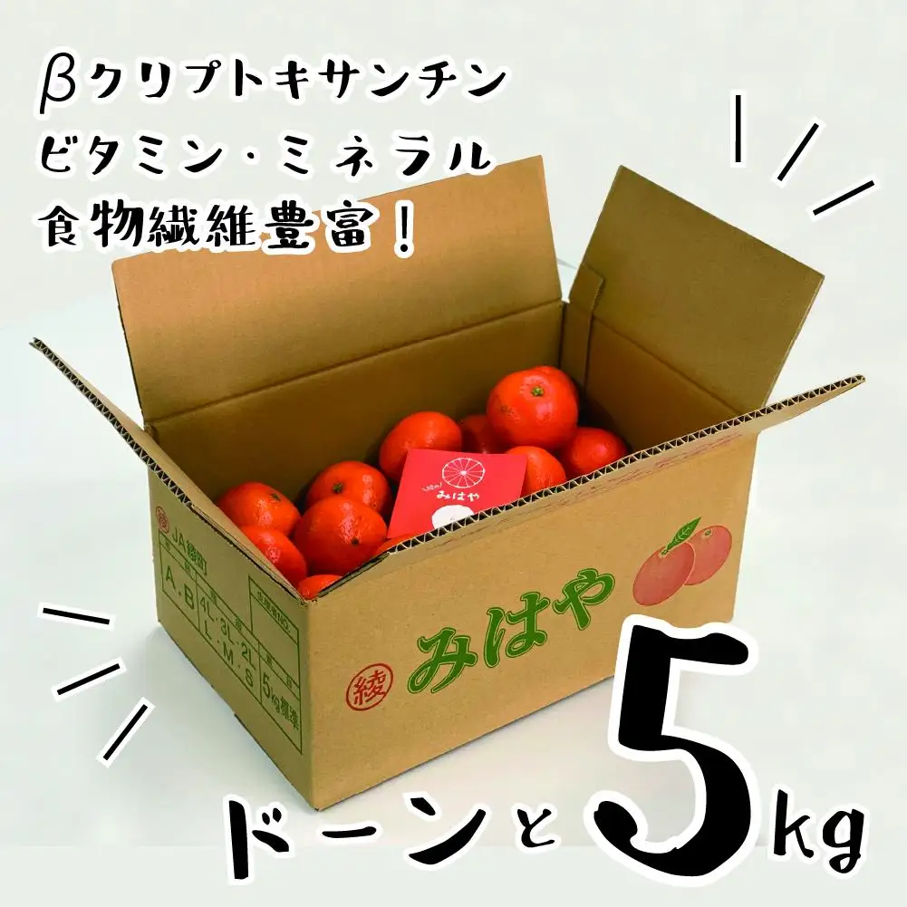 【先行受付】【訳あり】 みはや 5kg 果物 フルーツ くだもの 柑橘 みかん 蜜柑 新品種 おすすめ ワケアリ 不揃い 傷 Ｂ級品 プレゼント おすすめ おすそ分け 家庭用 おやつ スイーツ デザート 宮崎県 綾町 送料無料_A0114-2501
