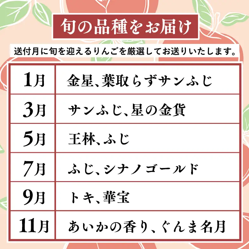 りんご 定期便 贈答用 5kg 隔月配送 定期便６回 贈答 りんご