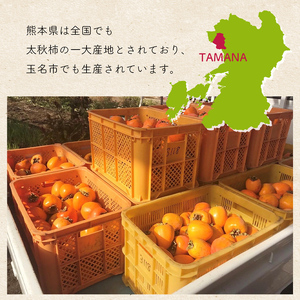 太秋柿 3.5kg