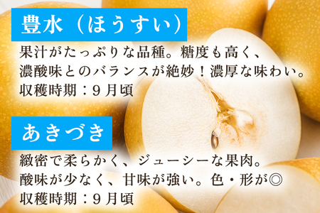 【2026年先行予約】新潟県産 和梨 おまかせ5kg 【7品種から旬の和梨5kgをお届け！】 園主おすすめ厳選和梨 （幸水・秋麗・豊水・あきづき・新美月・新王・新興） 《8月下旬から順次発送》