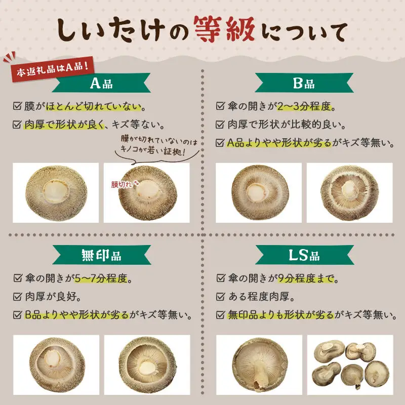 しいたけ A品 8M（約100g）×30パック
