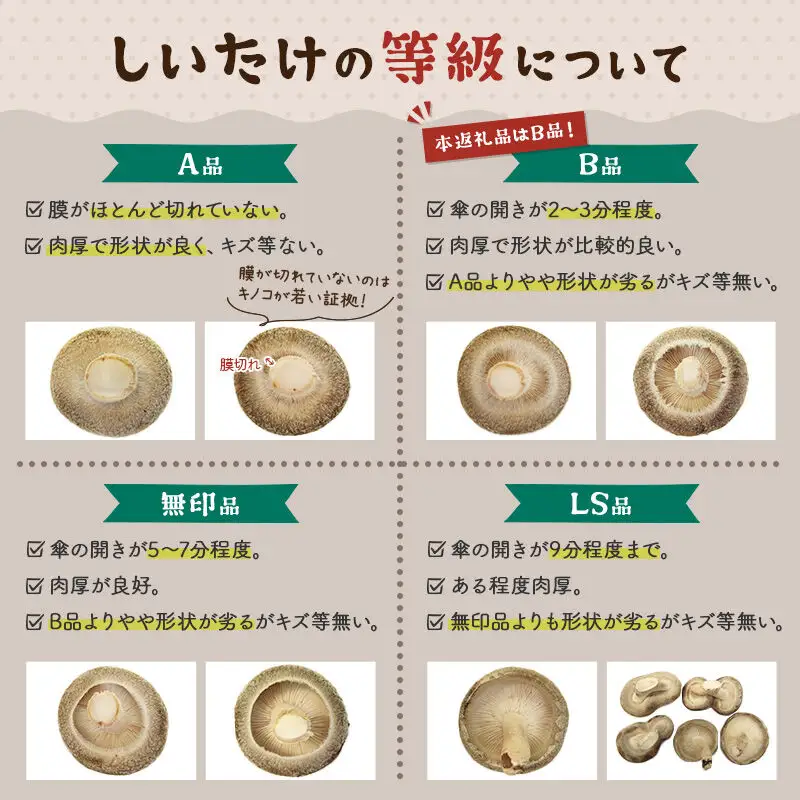 しいたけ B品 6L（約150g）×20パック