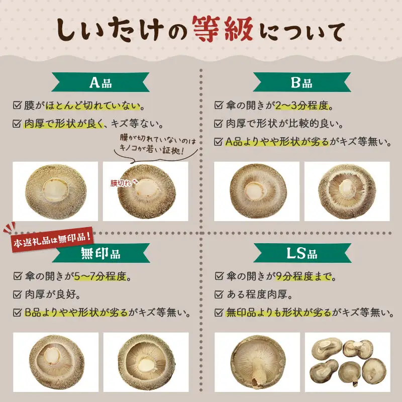 しいたけ 無印品 10S（約100g）×30パック
