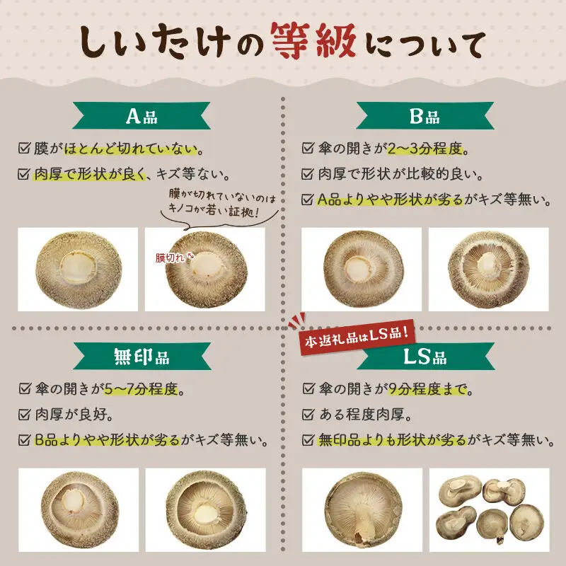しいたけ 無印品 LS（約100g）×30パック