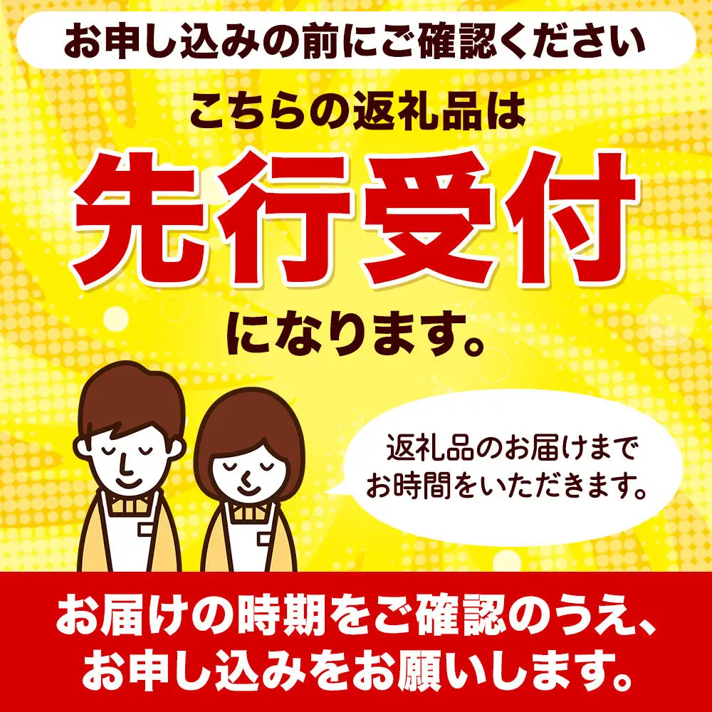 【先行受付】12月上旬より発送 【色ムラ・キズ等あり】樹上完熟サンフジ 約10kg（26～46玉前後）