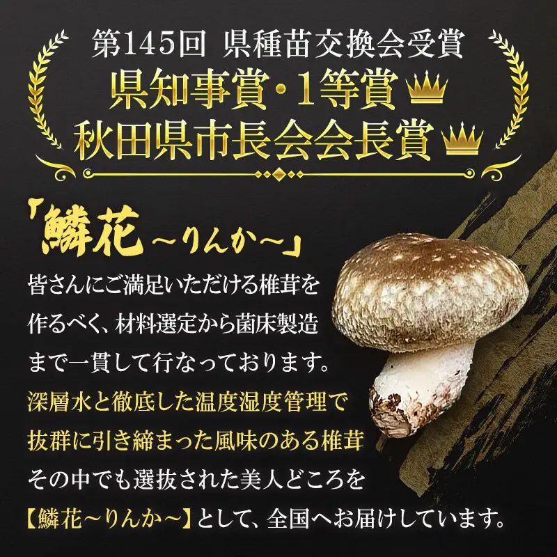 ご自宅でブランド椎茸を栽培！しいたけ栽培キット