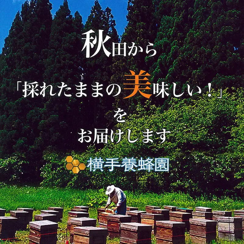 アカシアはちみつボトル 計900g（300g×3本）
