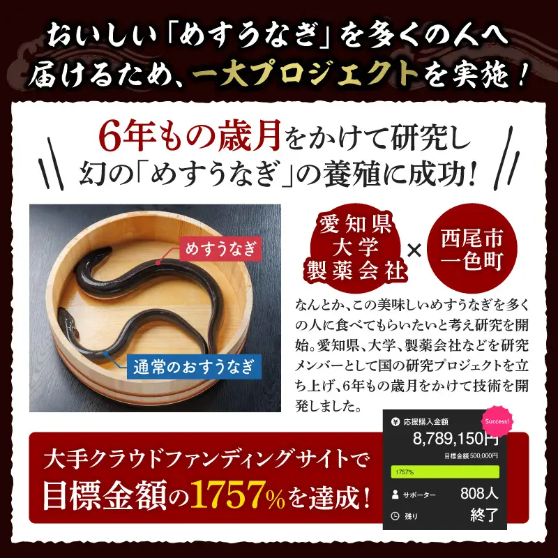 一色産めすうなぎ無頭長蒲焼2尾（300g）・I059-17