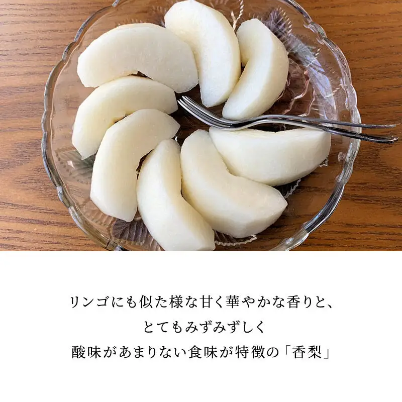 【先行受付】10月上旬より発送 横手市増田産 香梨 ご家庭用 約5kg
