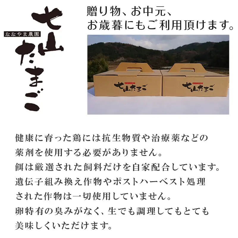 放し飼い！七山たまご 20個箱×2(合計40個) (大玉) 玉子 生卵 鶏卵 佐賀県唐津産