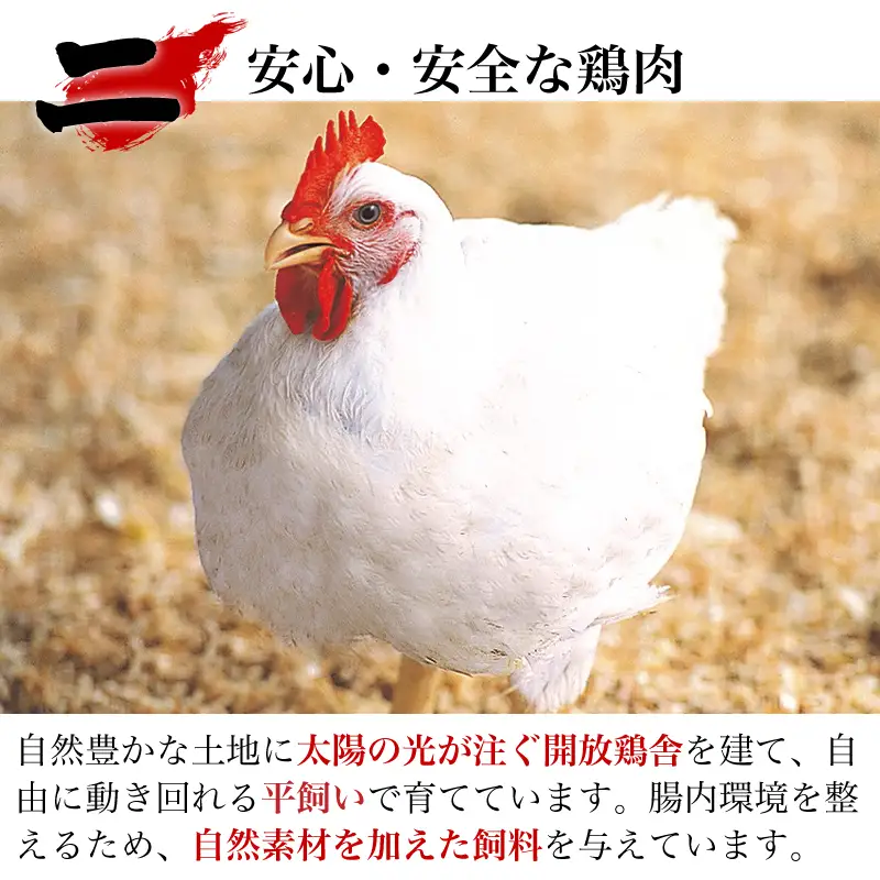 唐津市産 若鳥むね肉ささみ合計8kgセット 鶏肉 唐揚げ 親子丼 お弁当