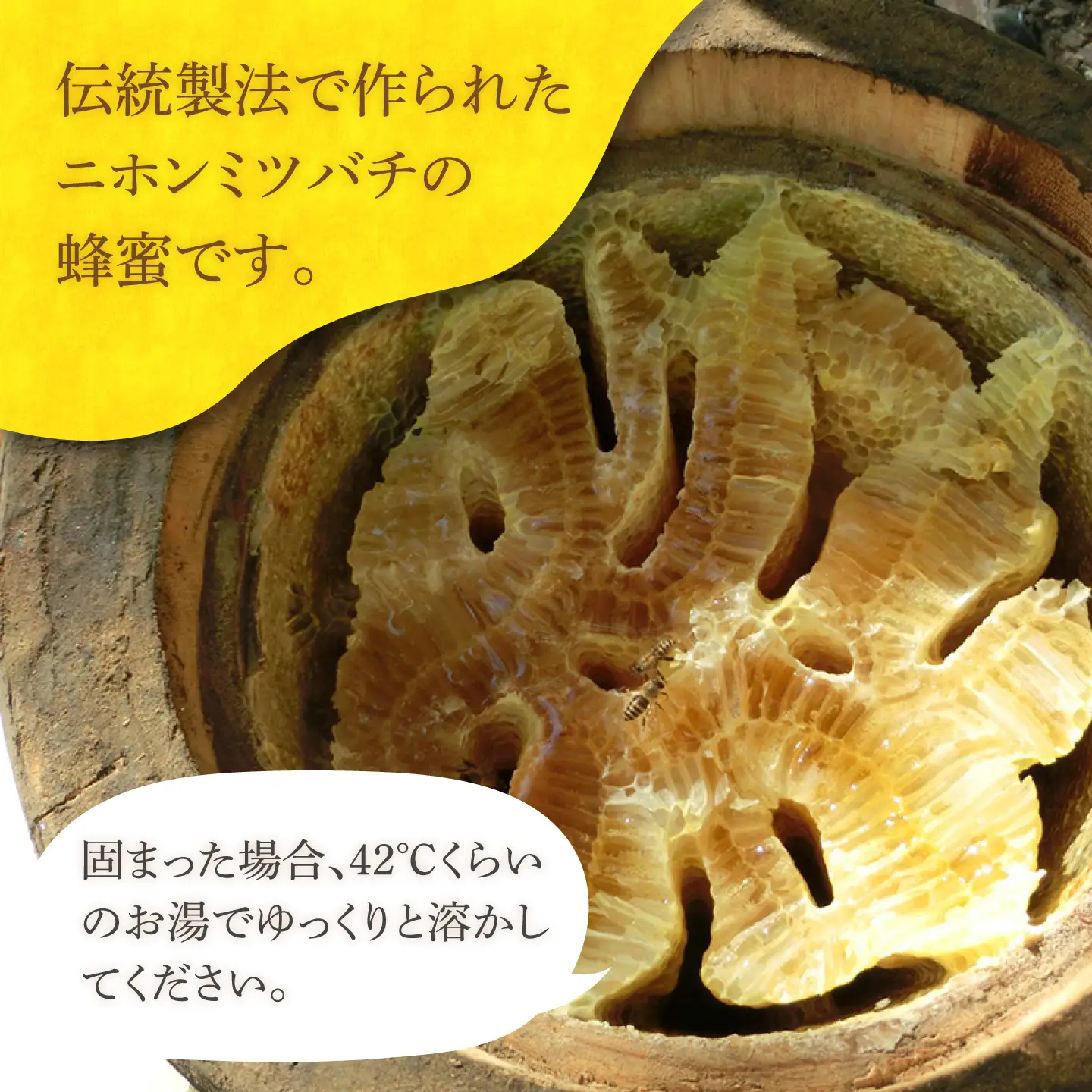 対馬 はちみつ 600g×2  蜂蜜 ハチミツ 日本ミツバチ 二ホンミツバチ [WAM030]