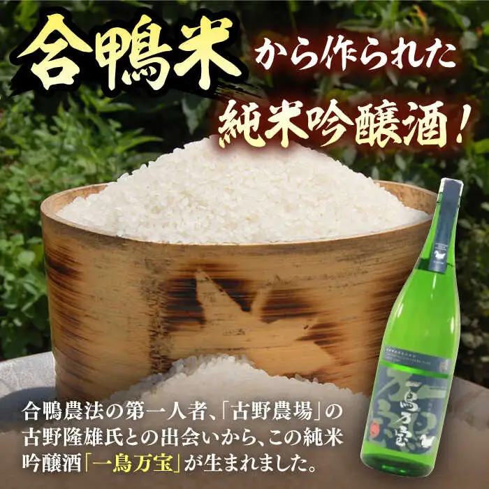 地酒 一鳥万宝 1800ml×2本 ADBF002 日本酒 酒 地酒 米 純米大吟醸