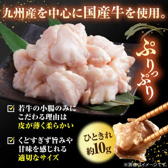 【年間100万食販売！】博多もつ鍋おおやま もつ鍋しょうゆ味 3人前 桂川町/株式会社ラブ [ADBQ002] もつ鍋 もつ鍋醤油 博多もつ鍋 もつ鍋 もつ鍋 もつ鍋