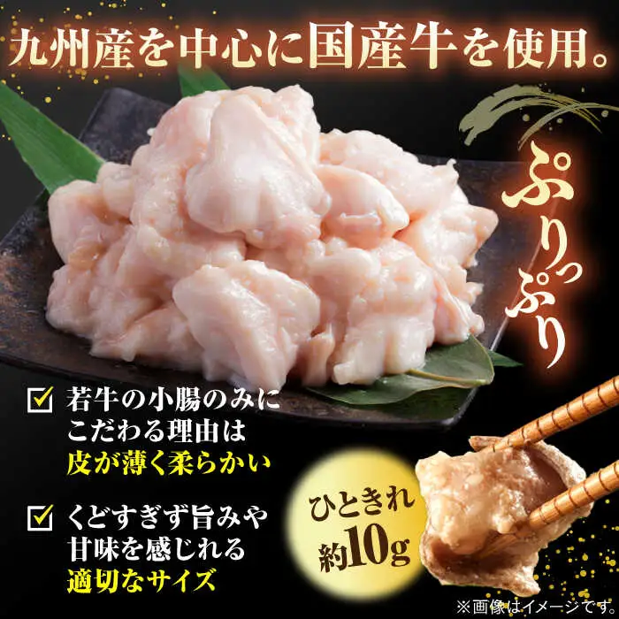 【全3回定期便】【年間100万食販売！】博多もつ鍋おおやま もつ鍋 しょうゆ味 2人前 桂川町/株式会社ラブ [ADBQ012] もつなべ モツ 鍋 醤油 もつ鍋 博多もつ鍋 もつ鍋おおやま もつ鍋定期便 