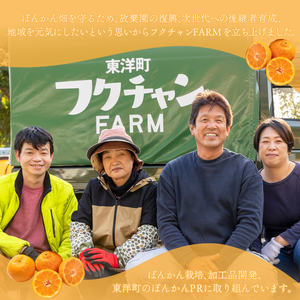 飲むゼリーぽんかん&こなつ 8個入り  F147