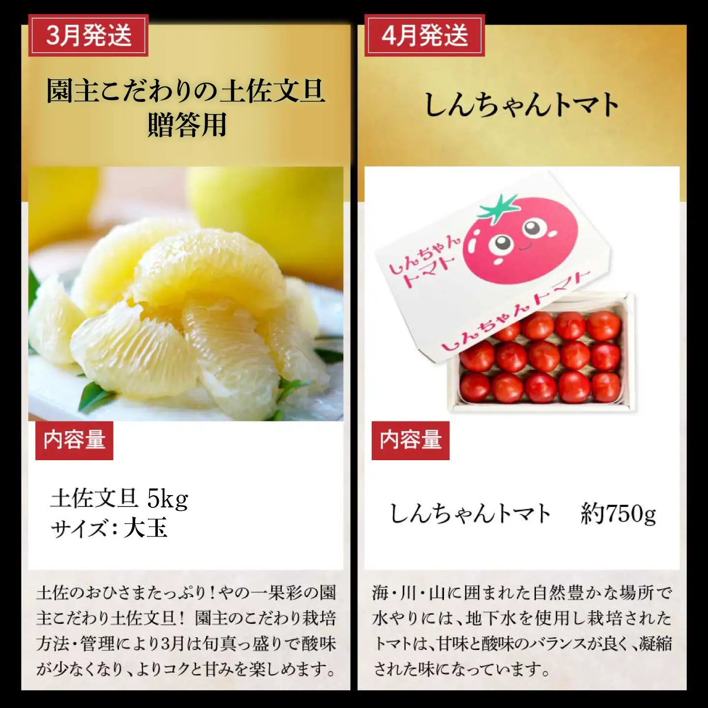 【全12回定期便】土佐市まるごと贅沢定期コース 高知県土佐市 【土佐市役所】 [BQCD015]