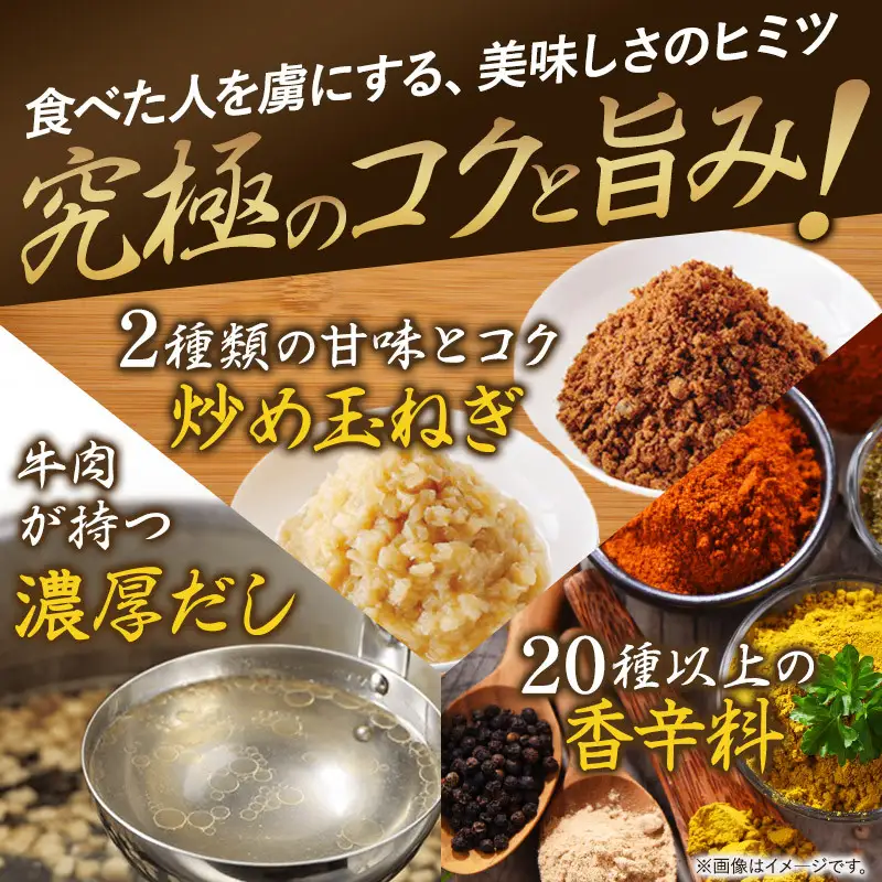 食研カレー２００ｇ×１０袋 