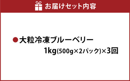 【3か月連続定期便】 熊本県産 大粒 冷凍ブルーベリー 1kg（500g×2パック）×3回 合計3kg  フルーツ 果物 くだもの 冷凍 ブルーベリー 国産