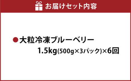 【6か月連続定期便】 熊本県産 大粒 冷凍ブルーベリー 1.5kg（500g×3パック）×6回 合計9kg  フルーツ 果物 くだもの 冷凍 ブルーベリー 国産