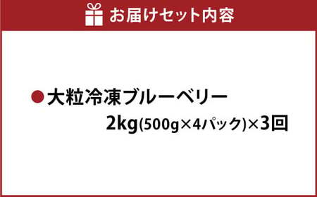 【3か月連続定期便】 熊本県産 大粒 冷凍ブルーベリー 2kg（500g×4パック）×3回 合計6kg  フルーツ 果物 くだもの 冷凍 ブルーベリー 国産