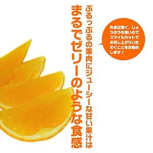 紅まどんな 3kg (7?8玉) (5L?4L) 愛媛 みかん 紅マドンナ 紅まどんな 蜜柑 柑橘 果物 贈答 愛媛のみかん くだもの フルーツ 愛媛県 松山市【SSK014】