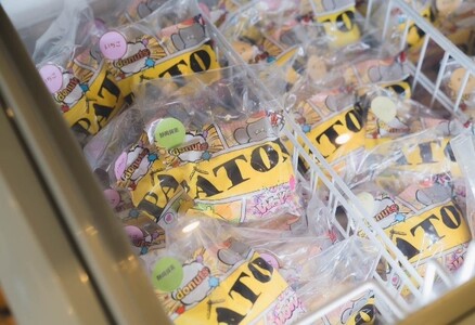 生ドーナツ 静岡抹茶 10個 セット 生ドーナツ