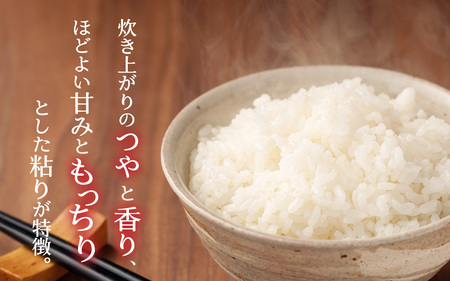 令和6年産 福井県産奥越コシヒカリ2kg ×2袋（計 4kg） [A-015019]