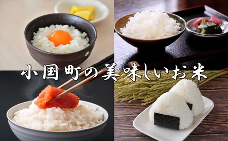 山形県小国町産 雪若丸5kg