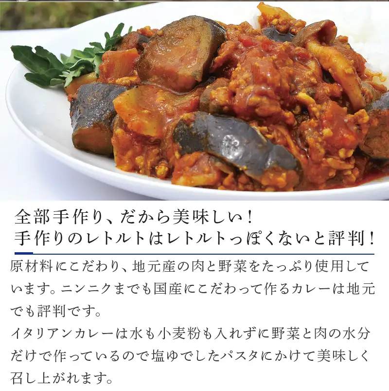 佐賀牛スジカレー5個・イタリアンカレー5個・佐賀牛煮込みハンバーグ3個セット