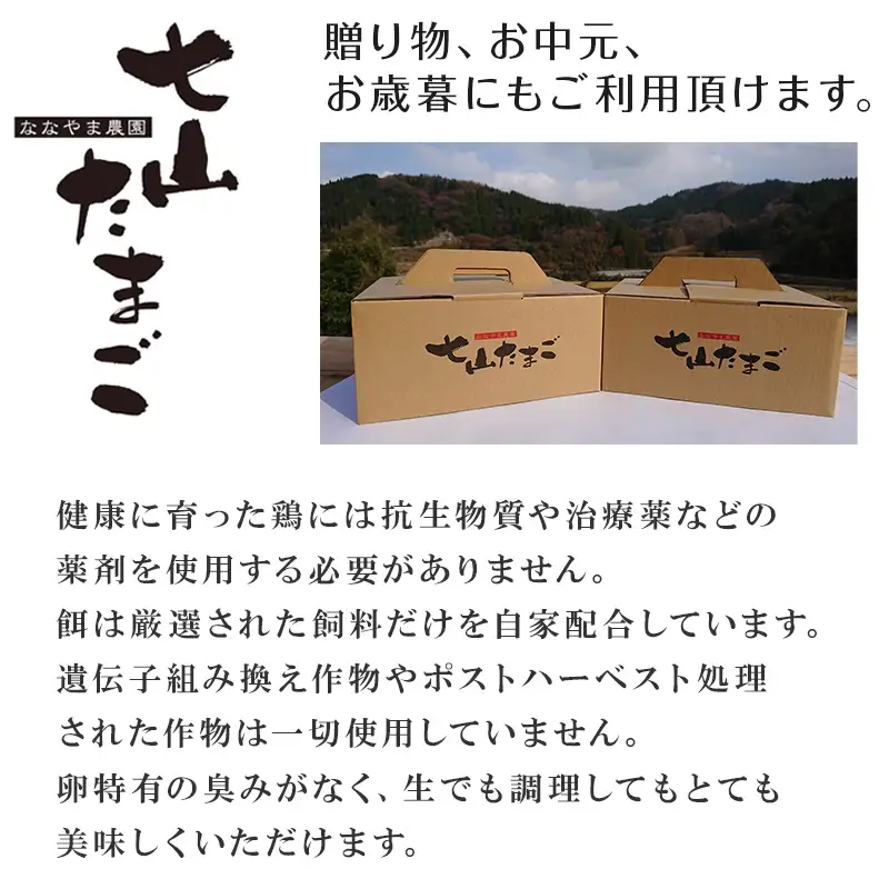 放し飼い！七山たまご 40個箱×2(合計80個) (大玉) 玉子 生卵 鶏卵 佐賀県唐津産