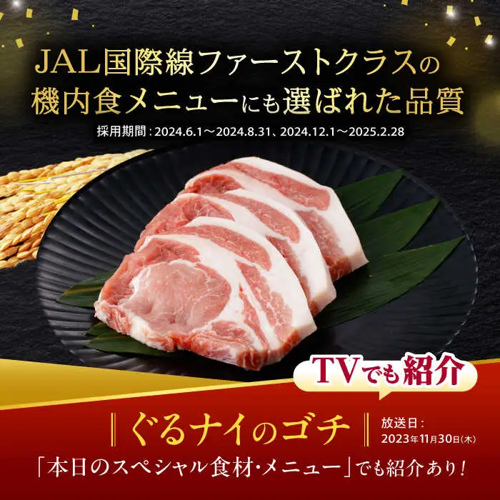 諫美豚 ロースステーキ 600g(100g×6枚) / 豚肉 ぶたにく ステーキ すてーき ロース ろーす テキカツ 焼肉 生姜焼き / 諫早市 / 株式会社土井農場 [AHAD087]
