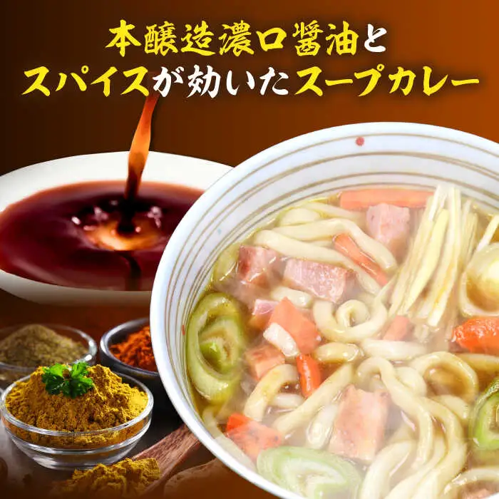 スープカレーうどん 12食入[VAI070]カレーうどん